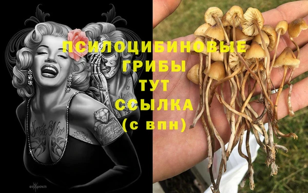 амф Надым