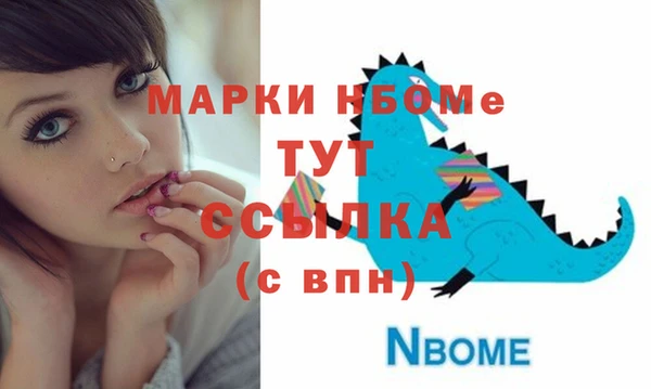 индика Вязники