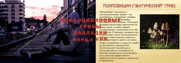 амф Надым