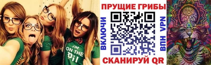Галлюциногенные грибы ЛСД  Новопавловск 