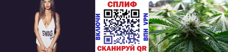 Конопля OG Kush  Новопавловск 